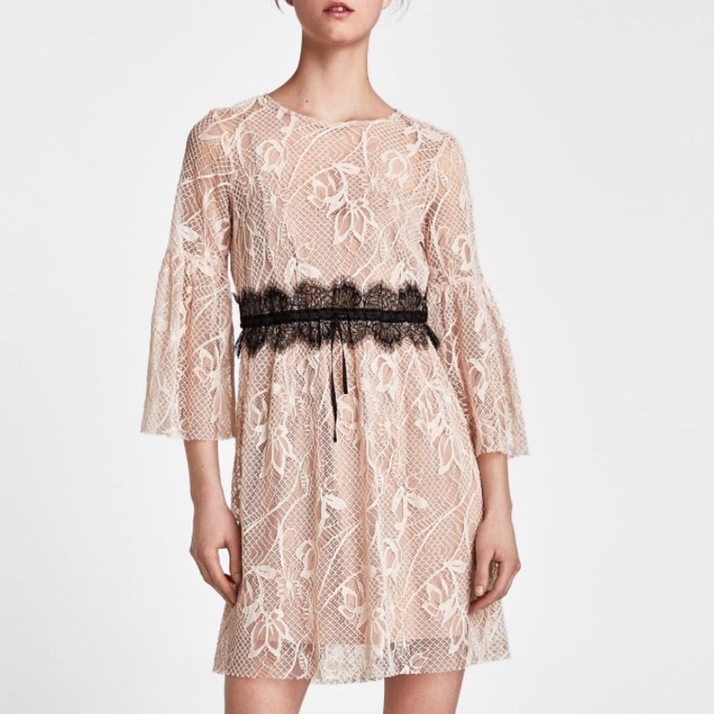 Zara Basic Blush Lace Dress with Flare 3/4 Sleeves Size M